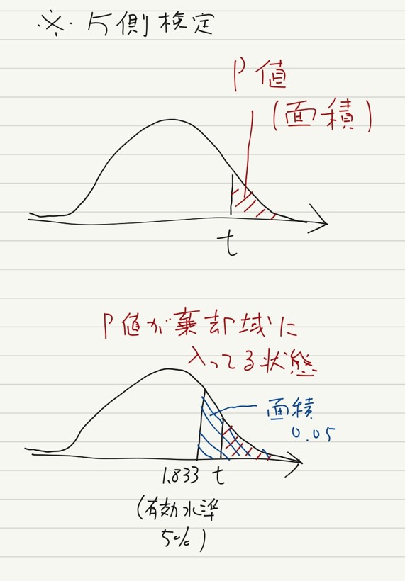 p1.jpg
